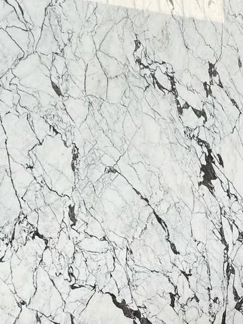 A polished slab of Persian Scotto Crystal marble, white with dark veins, in LMC’s yard